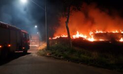 Incêndio de grandes proporções em vegetação mobiliza Corpo de Bombeiros no Setor Aeroporto, em Catalão Incêndio de grandes proporções em vegetação mobiliza Corpo de Bombeiros no Setor Aeroporto, em Catalão
