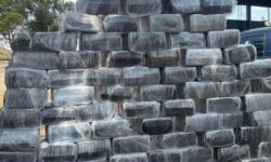 Forças de segurança apreendem mais de 2 toneladas de drogas em operações integradas Forças de segurança apreendem mais de 2 toneladas de drogas em operações integradas