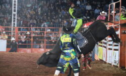 Rodeio dos Campeões começa nesta segunda-feira (20) com entrada gratuita na Expo Catalão 2026; conheça os competidores Rodeio dos Campeões começa nesta segunda-feira (20) com entrada gratuita na Expo Catalão 2026; conheça os competidores