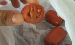 Moradores encontram salsichas com suspeita de veneno espalhadas em rua de Catalão