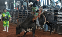 Abertura do rodeio da Expo Catalão 2026 é sucesso absoluto e reúne mais de 12 mil pessoas no Parque de Exposições; veja fotos Abertura do rodeio da Expo Catalão 2026 é sucesso absoluto e reúne mais de 12 mil pessoas no Parque de Exposições; veja fotos