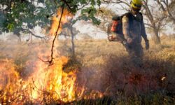 Governo de Goiás orienta população sobre prevenção a incêndios em áreas urbanas Governo de Goiás orienta população sobre prevenção a incêndios em áreas urbanas