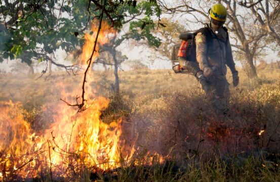 Governo de Goiás orienta população sobre prevenção a incêndios em áreas urbanas