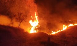 Incêndio em vegetação ameaça casas, animais e estruturas de fazenda e mobiliza bombeiros por quatro horas Incêndio em vegetação ameaça casas, animais e estruturas de fazenda e mobiliza bombeiros por quatro horas