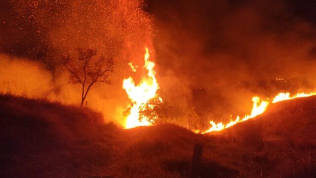 Incêndio em vegetação ameaça casas, animais e estruturas de fazenda e mobiliza bombeiros por quatro horas