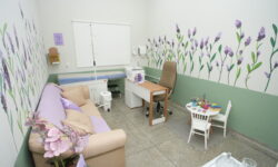 Um ano de proteção e acolhimento: Sala Lilás do CAM celebra primeiro aniversário em Catalão Um ano de proteção e acolhimento: Sala Lilás do CAM celebra primeiro aniversário em Catalão