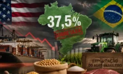Sobretaxa de 37,5% dos EUA atinge um terço das exportações do agro brasileiro e força produtores a rever estratégias