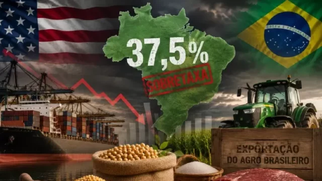 Sobretaxa de 37,5% dos EUA atinge um terço das exportações do agro brasileiro e força produtores a rever estratégias