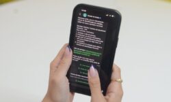 Goianos podem renovar CNH e solicitar segunda via da Carteira de Identidade Nacional pelo WhatsApp Goianos podem renovar CNH e solicitar segunda via da Carteira de Identidade Nacional pelo WhatsApp