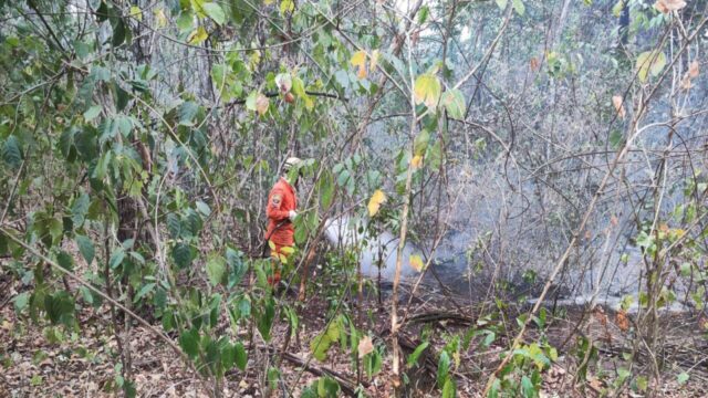 Bombeiros combatem incêndio florestal próximo ao Parque Estadual da Serra de Caldas Novas