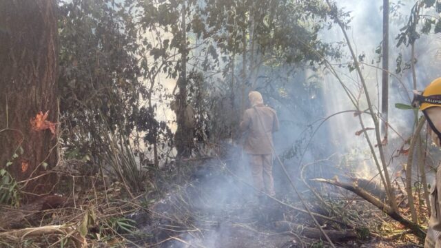Bombeiros seguem no combate a incêndio no Parque Natural Municipal do Setor Santa Cruz