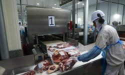 Goiás registra superávit de US$ 769 milhões na balança comercial em julho