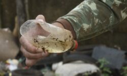 Saúde Estadual alerta para prevenção da dengue e chikungunya durante período de estiagem