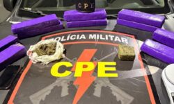 CPE apreende cerca de 11 kg de maconha em residência no Jardim Paulista, em Catalão CPE apreende cerca de 11 kg de maconha em residência no Jardim Paulista, em Catalão