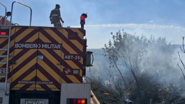Bombeiros combatem incêndio em vegetação às margens da GO-330, em Ipameri