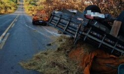 Caminhão tomba na GO-330, no município de Ipameri; ocupantes não ficam feridos Caminhão tomba na GO-330, no município de Ipameri; ocupantes não ficam feridos