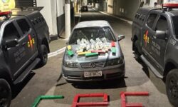 CPE apreende drogas e encontra cerca de 4 mil comprimidos de ecstasy em Catalão