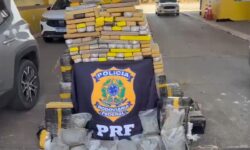 PRF apreende mais de 440 kg de drogas após perseguição na BR-060, em Abadia de Goiás PRF apreende mais de 440 kg de drogas após perseguição na BR-060, em Abadia de Goiás