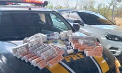 PRF apreende cerca de 2,2 mil ampolas de medicamentos para emagrecimento escondidas em veículo na BR-060