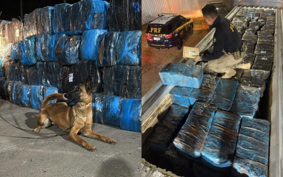 Cães encontram quase 4 toneladas de ‘supermaconha’ escondidas no meio de telhas em Goiás