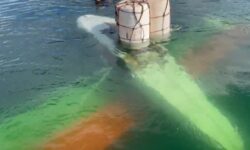 Bombeiros retiram aeronave que caiu no Lago Corumbá após operação a 30 metros de profundidade Bombeiros retiram aeronave que caiu no Lago Corumbá após operação a 30 metros de profundidade