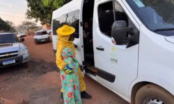 Ataque de abelhas atinge cerca de 40 pessoas na zona rural de Piracanjuba Ataque de abelhas atinge cerca de 40 pessoas na zona rural de Piracanjuba