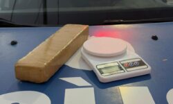 Homem de 44 anos é detido com mais de 1 kg de maconha após furto de arma em Catalão Homem de 44 anos é detido com mais de 1 kg de maconha após furto de arma em Catalão