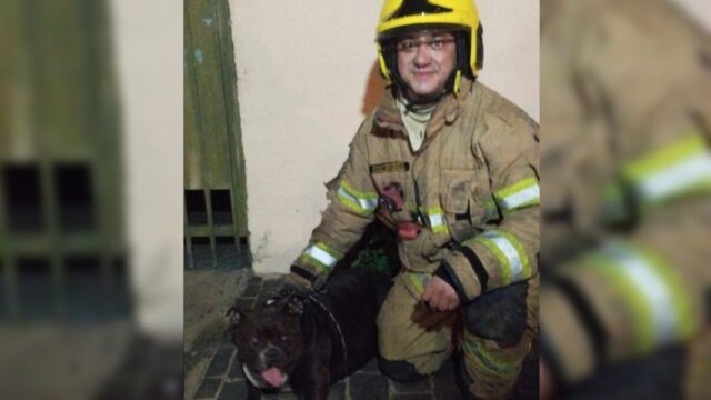 Mulher e cadela são retiradas de casa atingida por incêndio em Uberlândia