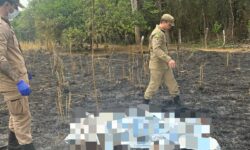 Idoso é encontrado morto durante incêndio em área rural de Piracanjuba Idoso é encontrado morto durante incêndio em área rural de Piracanjuba