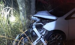 Motorista de 45 anos fica ferido após carro bater em árvore na GO-330, em Três Ranchos Motorista de 45 anos fica ferido após carro bater em árvore na GO-330, em Três Ranchos