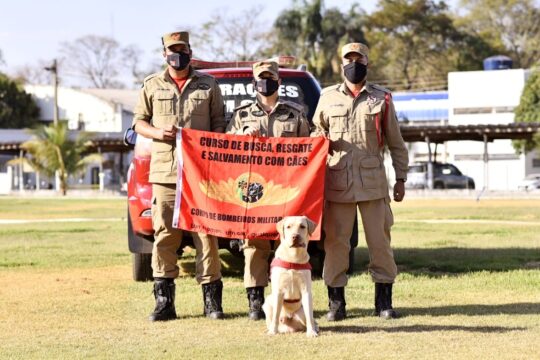 Cão bombeiro Fênix, referência em buscas e salvamentos, morre em Goiás