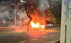 Carro bate em árvore, pega fogo e fica destruído em Uberlândia Carro bate em árvore, pega fogo e fica destruído em Uberlândia