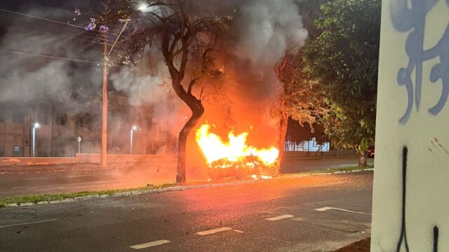 Carro bate em árvore, pega fogo e fica destruído em Uberlândia