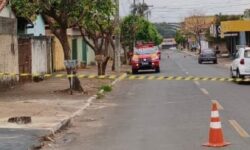 Enxame de abelhas provoca evacuação de igreja e interdição de ruas em Caldas Novas Enxame de abelhas provoca evacuação de igreja e interdição de ruas em Caldas Novas