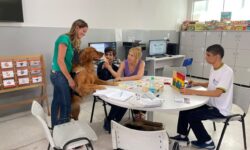 IBGE mostra aumento da acessibilidade nas escolas públicas de Goiás IBGE mostra aumento da acessibilidade nas escolas públicas de Goiás