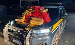 PRF apreende 80 kg de maconha em veículo transportado por caminhão-cegonha, na BR-153 em Hidrolândia