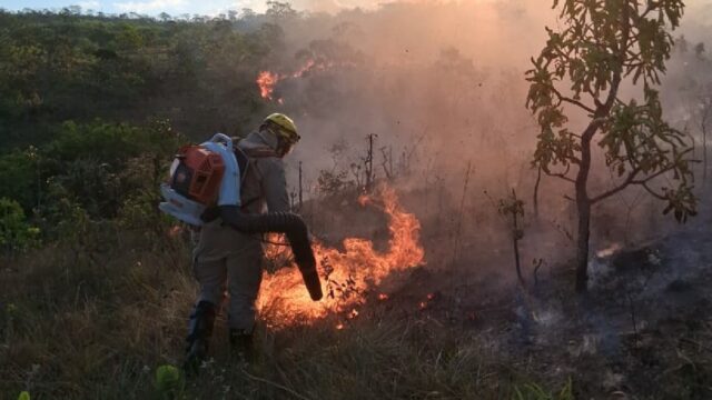 Bombeiros combatem incêndio em pastagem e área de preservação em Ipameri