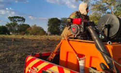 Incêndio atinge cerca de 34 hectares de vegetação às margens da GO-307, em Ipameri Incêndio atinge cerca de 34 hectares de vegetação às margens da GO-307, em Ipameri
