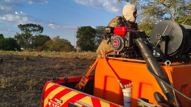 Incêndio atinge cerca de 34 hectares de vegetação às margens da GO-307, em Ipameri