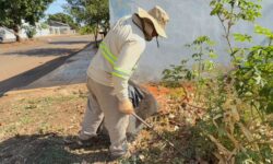 Catalão reforça manejo ambiental para combater focos do Aedes aegypti Catalão reforça manejo ambiental para combater focos do Aedes aegypti
