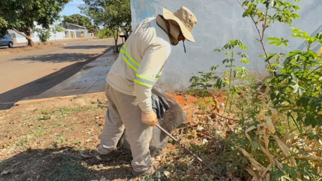 Catalão reforça manejo ambiental para combater focos do Aedes aegypti