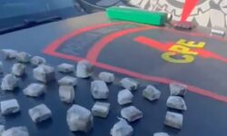 Suspeito foge para área de mata, mas é preso com 2 kg de maconha em Morrinhos Suspeito foge para área de mata, mas é preso com 2 kg de maconha em Morrinhos