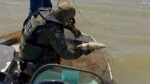 Operação apreende cerca de 5 km de redes de pesca predatória e devolve 15 animais à natureza em Três Ranchos