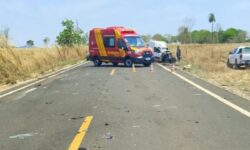 Colisão entre caminhão e carro deixa uma pessoa ferida e quatro bovinos mortos na GO-244 Colisão entre caminhão e carro deixa uma pessoa ferida e quatro bovinos mortos na GO-244