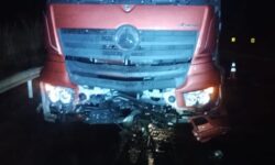 Motorista bate contra defensa metálica na BR-050 ao tentar desviar de animais na pista, em Campo Alegre de Goiás Motorista bate contra defensa metálica na BR-050 ao tentar desviar de animais na pista, em Campo Alegre de Goiás