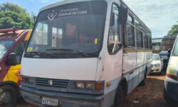 Governo de Goiás realiza leilão de 143 veículos em outubro