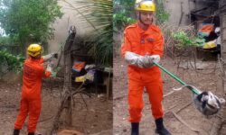 Bombeiros capturam gambá em quintal de residência e o soltam em área de mata, em Ipameri Bombeiros capturam gambá em quintal de residência e o soltam em área de mata, em Ipameri