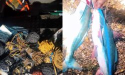 Polícia flagra pesca predatória no Lago Serra do Facão, em Campo Alegre de Goiás Polícia flagra pesca predatória no Lago Serra do Facão, em Campo Alegre de Goiás