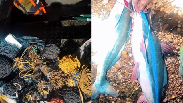 Polícia flagra pesca predatória no Lago Serra do Facão, em Campo Alegre de Goiás