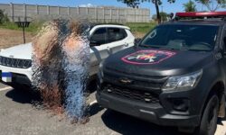 Motorista suspeito de atropelamento que matou mulher em Paraúna é preso em Piracanjuba